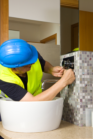 Plumber(s)3.jpg